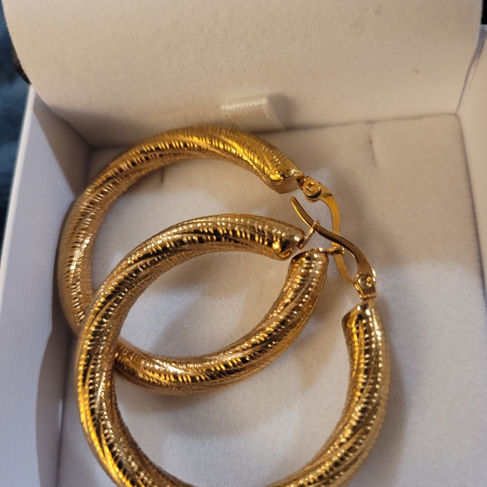 Hoop Earrings